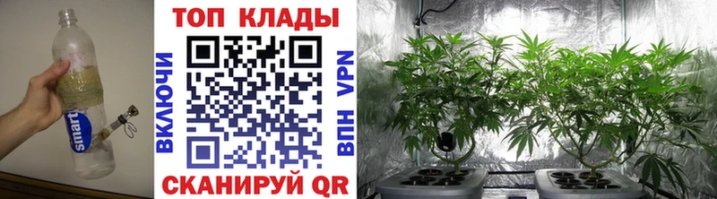 Купить Короча А ПВП  Каннабис  Мефедрон  ГАШИШ  Cocaine 