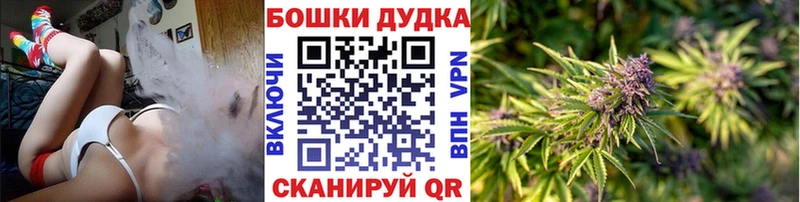 где купить   ссылка на мегу ССЫЛКА  Канабис SATIVA & INDICA  Короча 